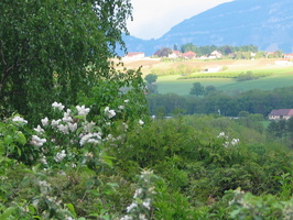 2006 05-Thoiry France View of Switzerland